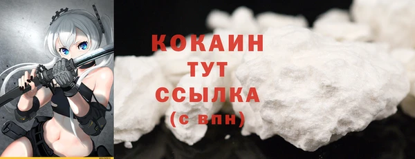 хмурый Горно-Алтайск