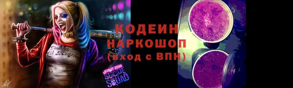 хмурый Горно-Алтайск