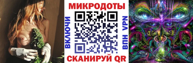 Псилоцибиновые грибы Psilocybe  Западная Двина 