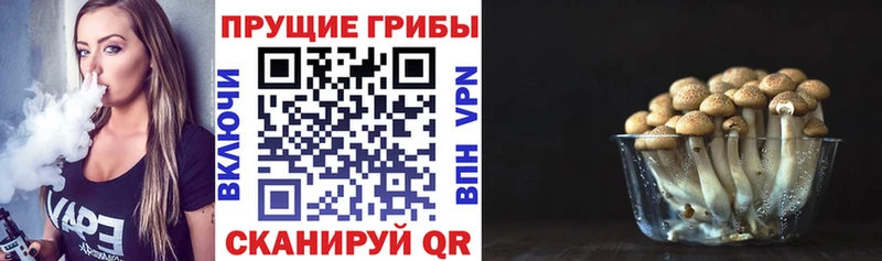 Псилоцибиновые грибы прущие грибы Западная Двина